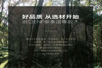 進(jìn)口ENF級(jí)泰國(guó)橡膠木|歐蒂尼『森源實(shí)木板』重磅上市