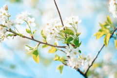 對(duì)于墻面裝修，你了解多少呢？